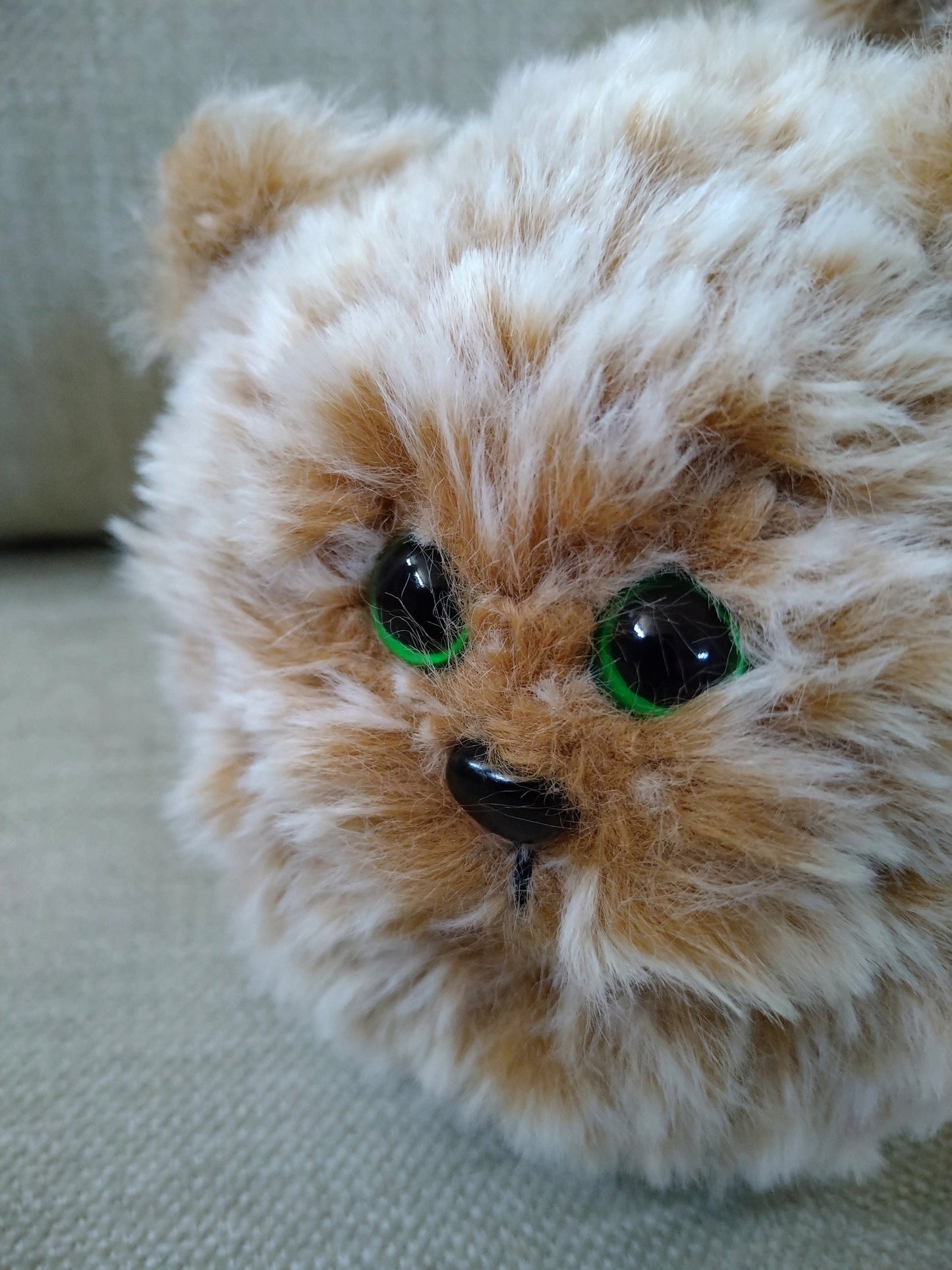 Oranga katten Rundis