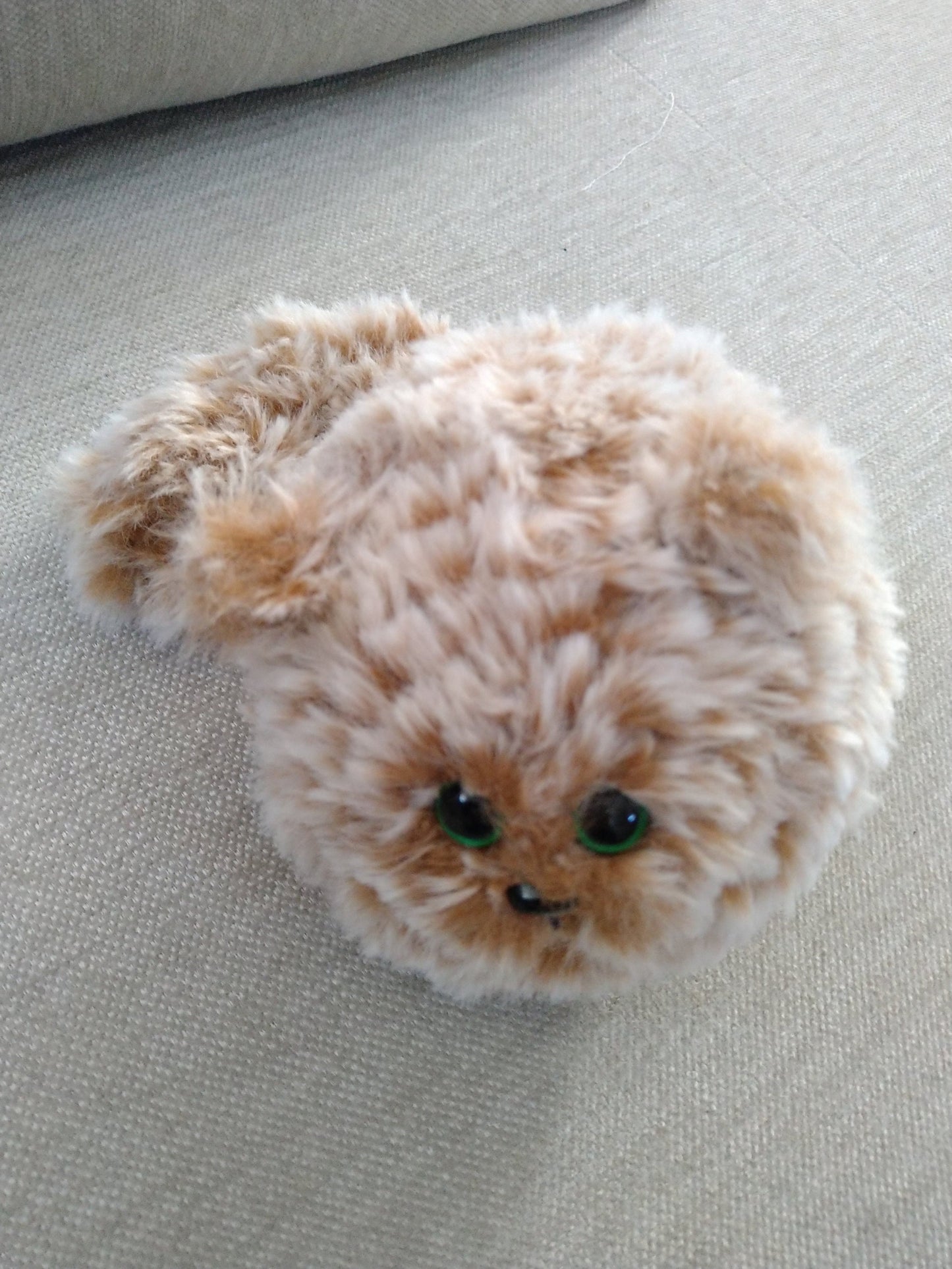 Oranga katten Rundis