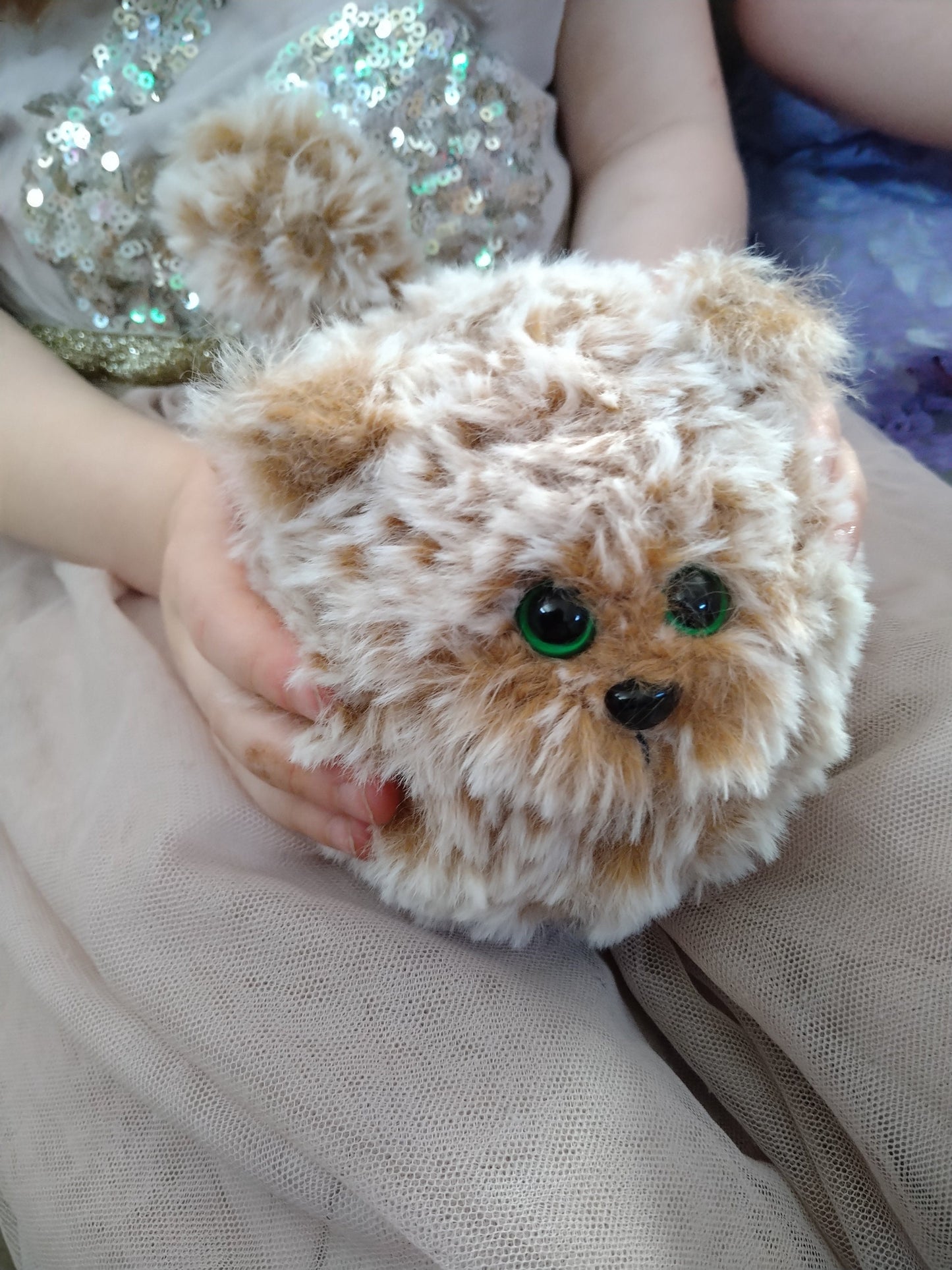 Oranga katten Rundis