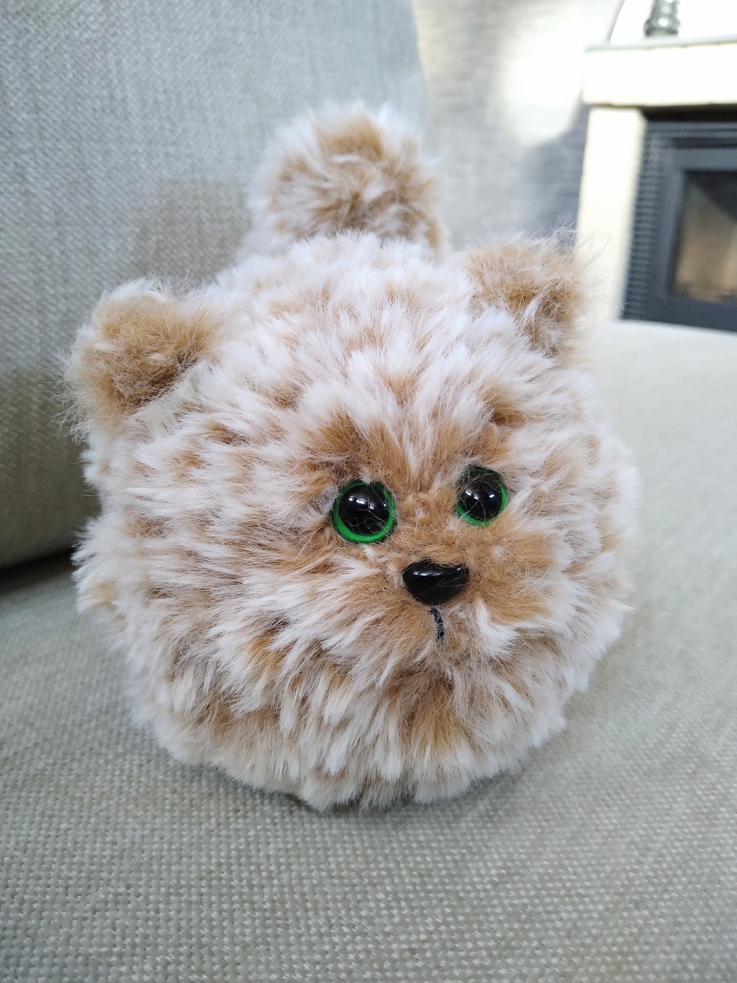 Oranga katten Rundis